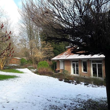Un Grand Jardin En Ville. Chez Guy Uccle Extérieur photo