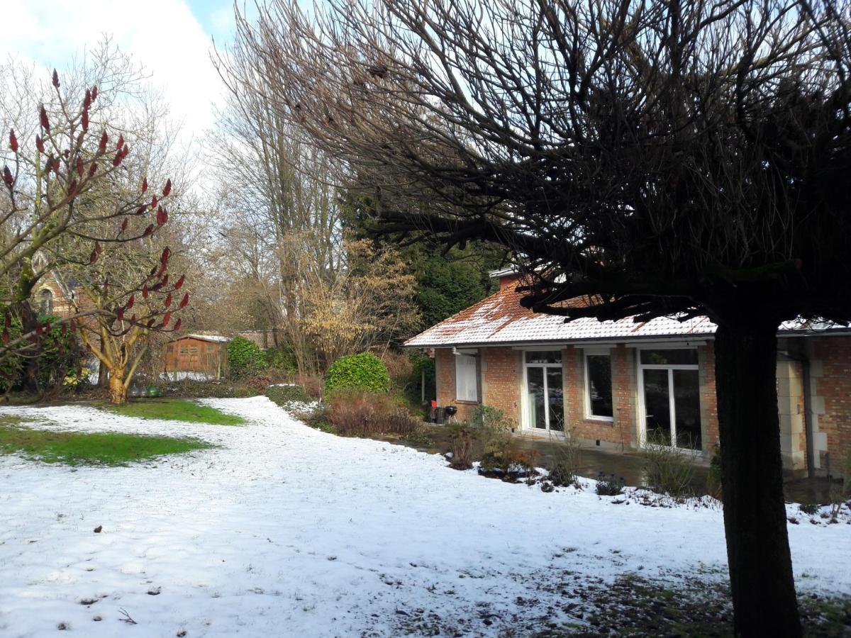 Un Grand Jardin En Ville. Chez Guy Uccle Extérieur photo